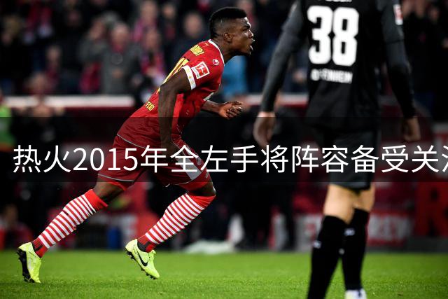 热火2015年全左手将阵容备受关注