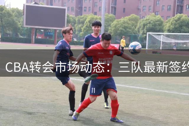 CBA转会市场动态：三队最新签约进展一览